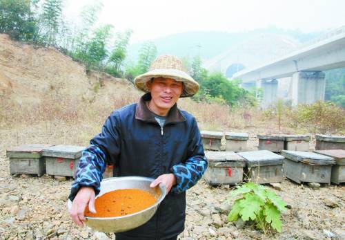 养蜂人朱跃中端着蜜蜂采集的花粉.他的身后便是在建的宁杭高铁.